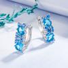 2026 Diamond-encrusted Sea Blue Zircon Earrings Women's European and American Temperament Light Luxury Sea Blue Zircon Earrings Ear Buckle Jewelry