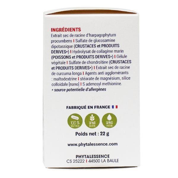 Phytalessence Artiphytol 40 Gélules