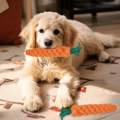 Seil Hundespielzeug Tierform Seilspielzeug um Hunde zu beschäftigen Karotte