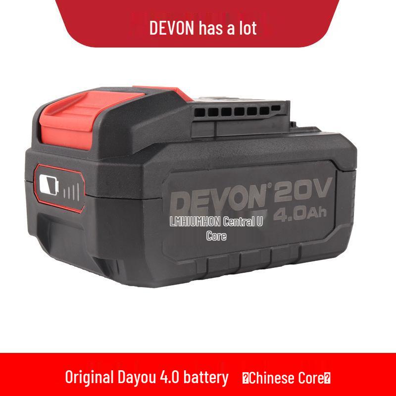 Dayou Lithium Battery Fast Charger 