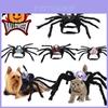 Halloween Huisdier Hond Kat Simulatie Schedel Zwarte Spin Kostuum