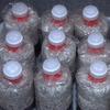 10pcs Waterproof Mushroom Spawn Grow Bag Sealable Plastic Cap Lock Ring Cultivating Edible Fungus Cover Lock Loop