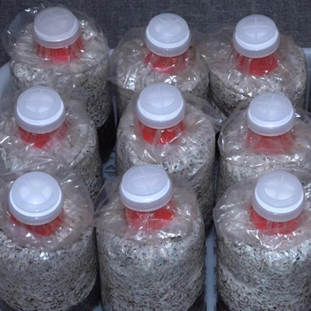 10pcs Waterproof Mushroom Spawn Grow Bag Sealable Plastic Cap Lock Ring Cultivating Edible Fungus Cover Lock Loop