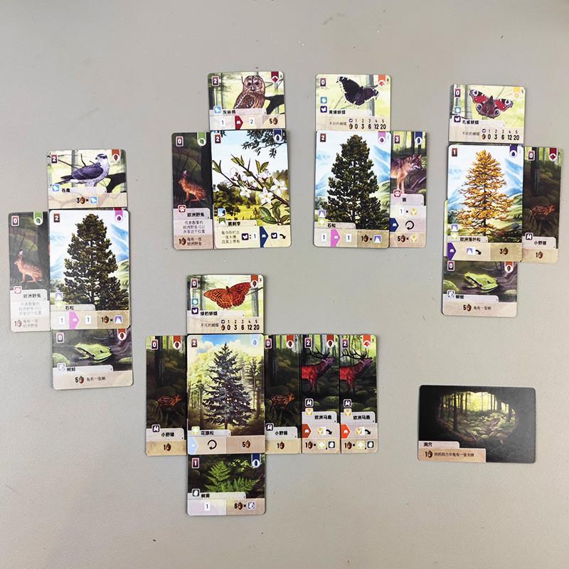 Jeu de Cartes Forest Shuffle Avec Extensions Pour le Divertissement en Famille et le Jeu Stratégique