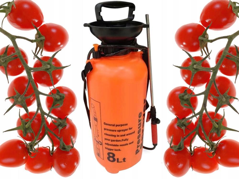 Opryskiwacz Ogrodowy S-8L (6) Gab_C