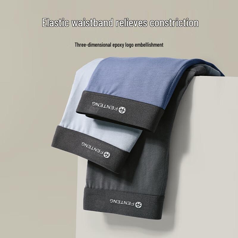 Fenteng Men's Breathable Cotton Boxer Briefs