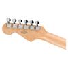 Fender Electric Guitar Standard Stratocaster 3-Color Sunburst Laurel Fingerboard White Pickguard Soft Case
