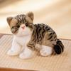 Cute simulation kitten doll plush toy three-flower cat orange cat doll children's soothing cloth doll
