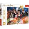 Puzzle 300 pièces : Harry Potter : Le Secret Harry Potter