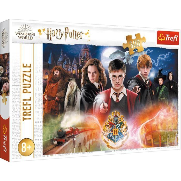 Puzzle 300 pièces : Harry Potter : Le Secret Harry Potter