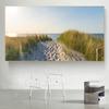 Modern Blue Sun Beach Grass Ocean Seascape Canvas Painting Landscape Posters and Prints Home Decor for Living Room Decoration