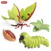 Oenux Simulation Luna Moth Salmon Butterfly Ants Life Growth Cycle Animals Model Action Figures Educational Miniature Kids Toy