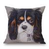 Bernese Mountain Dog  Jack Russell Border Collie Poster Cushion Cover Bedroom Decorative Pillow Case