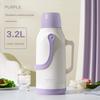 German Import Large Capacity Thermos Cup For Home Stainless Steel Thermos 2L Portable Baby out Kettle New Arrival