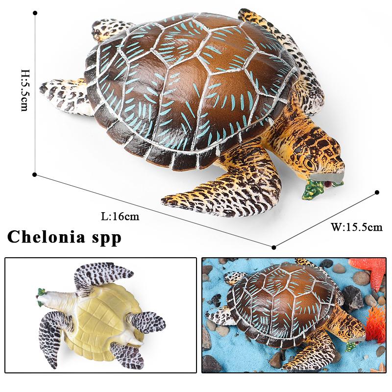 Oenux Ocean Animals Leatherback Tortoise Turtle Growth Cycle Sea Life Model Figurines Action Figures PVC Education Kid Toy Gift