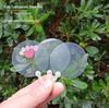 Customizable Transparent Mini Fan for Kids' DIY Artwork