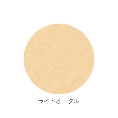 ONLY MINERALS Premium Foundation (7g)