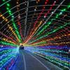 Holiday Led Christmas Lights Outdoor 20M 10M Led String Lights Decoration for Party Holiday Wedding Garland