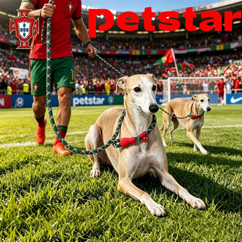 Portugal National Team Theme Pet Leash Adjustable Nylon Slip P Chain Dog Collar Traction Rope for Medium Large Puppy Dogs