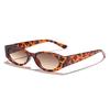 New Women Small Frame Oval Sunglasses Vintage Designer UV400 Sun Glasses Female Fashion Shades Eyewear