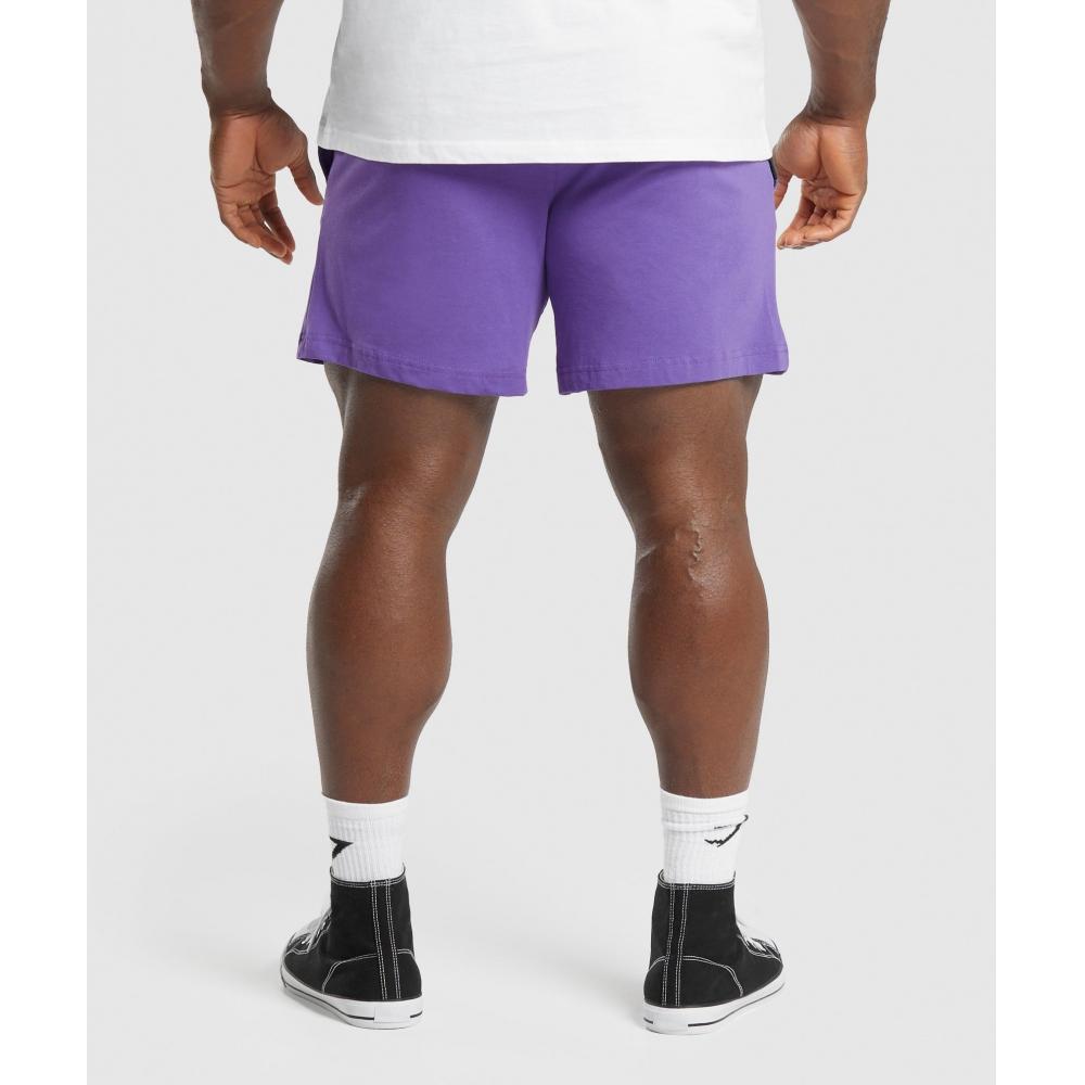 Gymshark Lightweight Jersey Shorts Stellar Purple A5a6j Pbvp