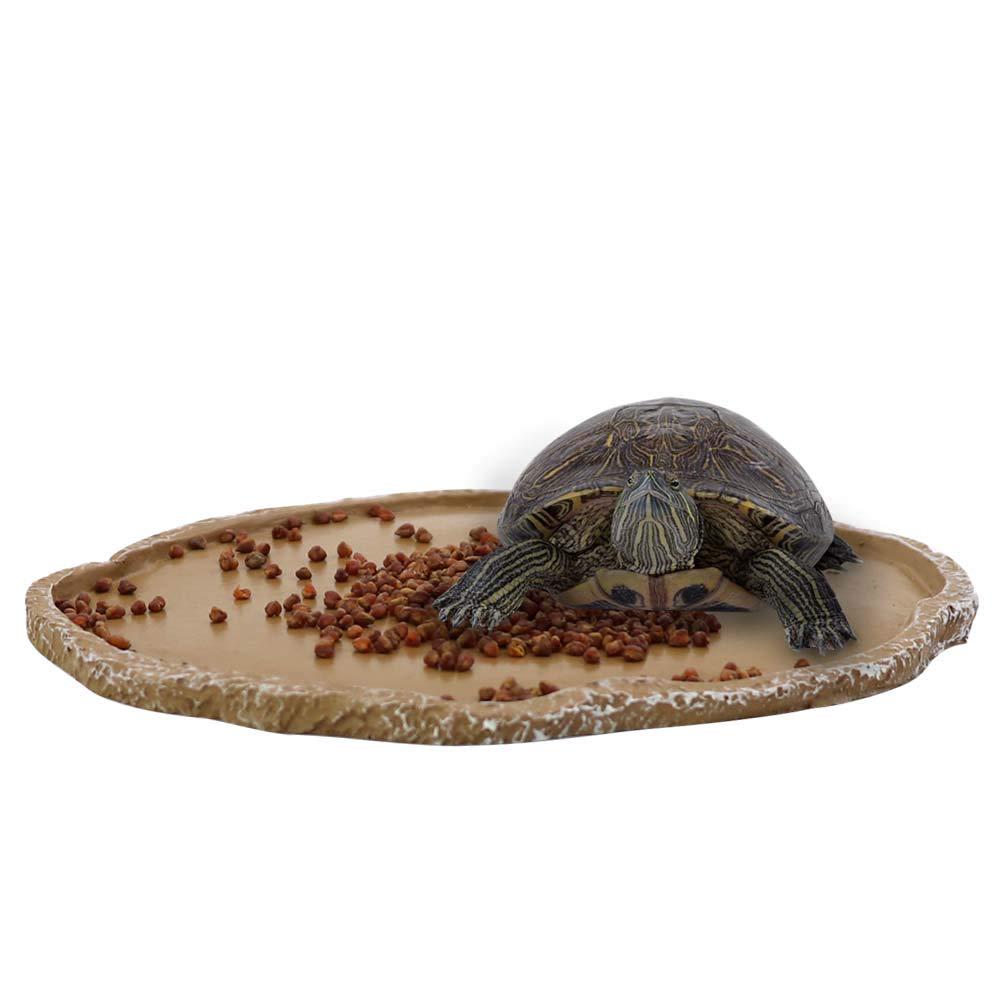turtle feeding bowl