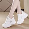 Thick-soled Dad Shoes Women's Summer Mesh Hollowed-out Heightening Casual Sports Shoes