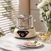 Shangqi Multifunctional Glass Health Pot
