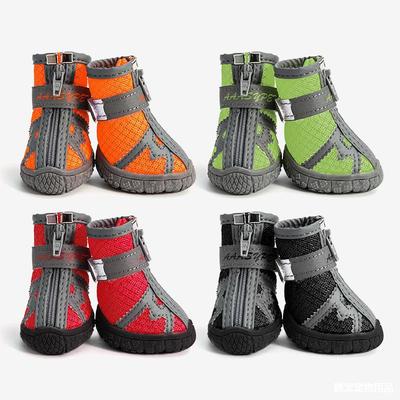 Abbigliamento e scarpe – Scarpe per cani