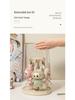 Rotating Labubu Plush Doll Display Box & Charm Stand