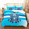 Football FC Zenit Saint Petersburg Bedding Set Boys Girls Twin Queen Size Duvet Cover Pillowcase Bed Kids Adult Home Textiles