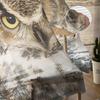 Antique Wood Owl Forest Curtain For Living Room Transparent Tulle Curtains Window Sheer For The Bedroom Accessories Decor