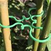 Climbing Plant Clips Reusable Garden Support Durable Plastic Ties for Vine Tomato Cucumber Indoor Outdoor Plant Organizer
