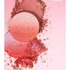 ROMANTIC BEAUTY - 2 in 1 Blusher - 3 Colors