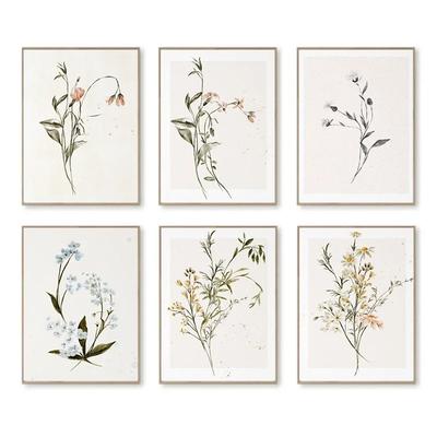Watercolor Wildflower Botanical Posters and Prints Canvas Printing Vintage Wall Art Picture for Living Room Home Decor Gifts