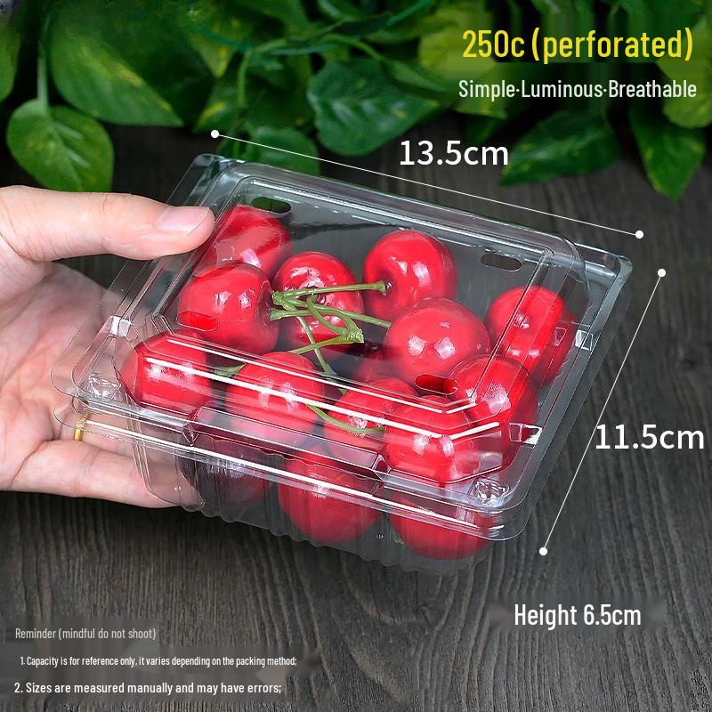 Disposable Perforated Round Fruit Box