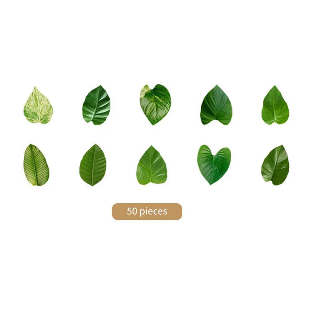 50 Pcs Kawaiii Leaves Washi Tape Scrapbooking Stickers Cute Sticker Rolls Self-adhesive DIY Decoration Stickers For Arts Crafts