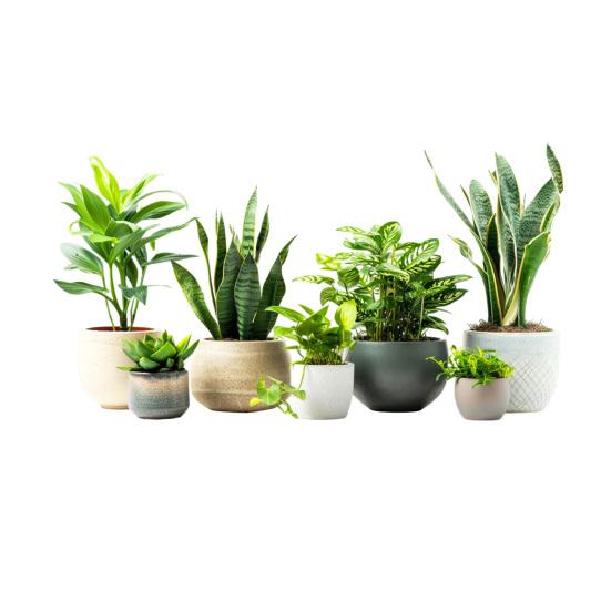 

Window Sticker Green Plant Decals Self-Adhesive PVC Waterproof Wall Stickers Bedroom Living Room Balcony Glass Doors Home Decor зелений