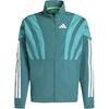 Striped Stand Collar Zip Long Sleeve Jacket Men Jackets Teal HZ3691