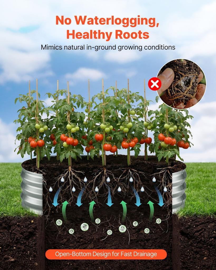 2 Pack Galvanized Raised Garden Beds, 1200 X 600 X 300 Mm, Oval Metal Planter Boxes Kit Outdoor, Bottomless Elevated Garden Box with Gloves, Alu-Zinc,