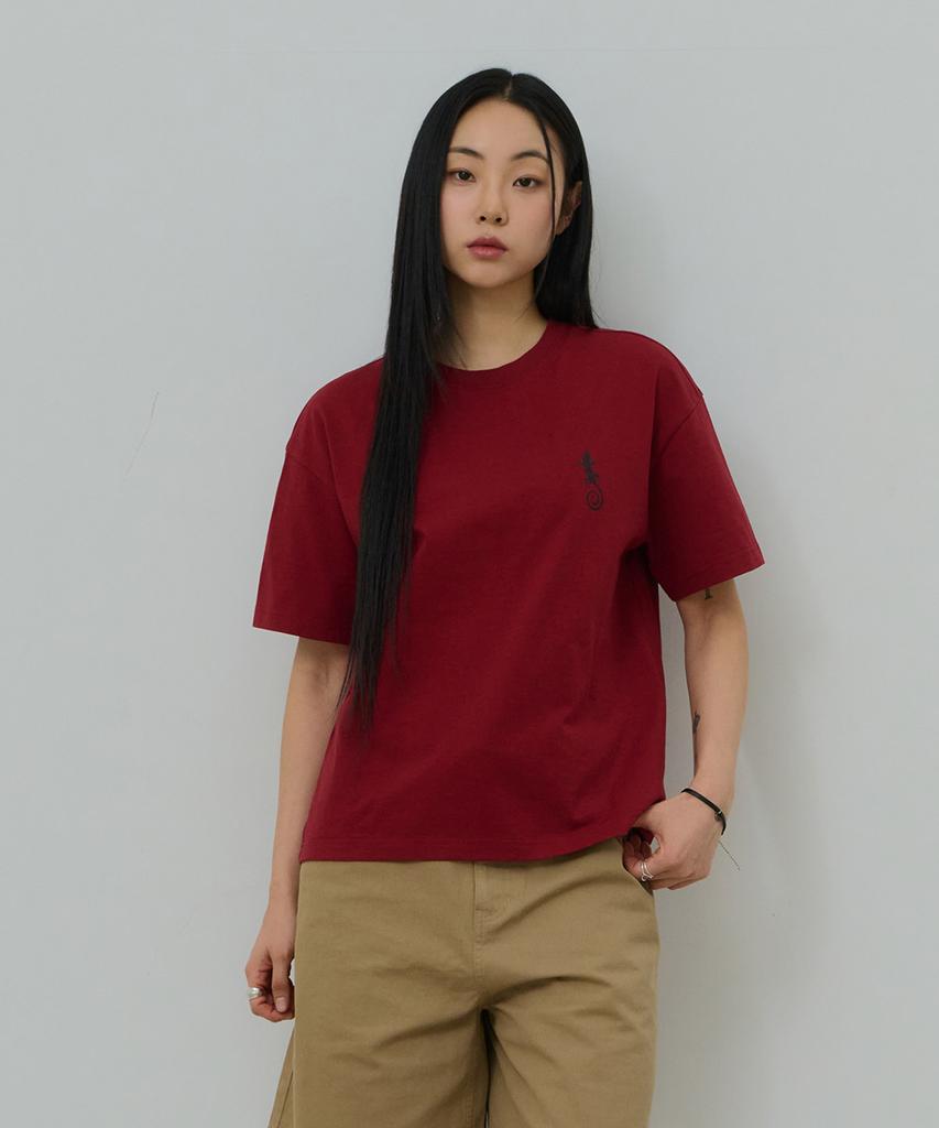 Desiledeu Front Graphic Crop Short Sleeve T-Shirt-Fbsk5805D07