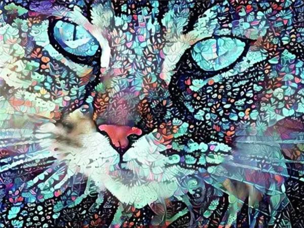 5d Diamond Painting Pes DIY Mozaika Zvíře Plný Kulatý Čtverec Diamantové vyšívání Křížkový steh Kamínky Obrázky Nástěnné umění
