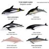 Ocean Wildlife Simulation Toy Set: Sea Turtle, Shark, Whale, Sea Lion, Tiger Shark, Manta Ray, Seal, Grouper.