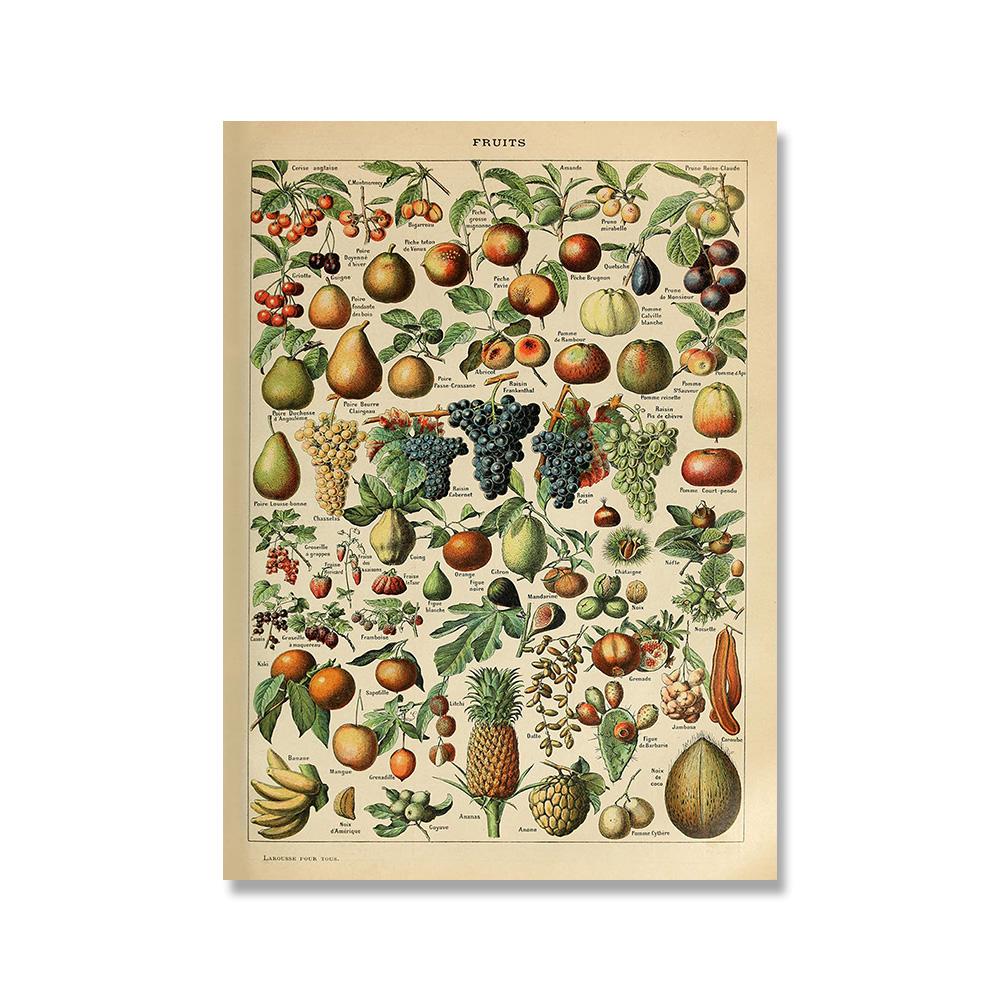 Adolphe Millot Botanisches Poster Blumen Früchte Gemüse Eier Pilze Leinwandmalerei Wandkunst Leinwandmalerei Heimdekor