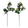 Rami con Limoni Artificiali Steli di Verde Finto con Frutti di Limone Realistici Piante di Limone Finte Realistiche per Decorazione Tavolo Cucina Casa Fiore