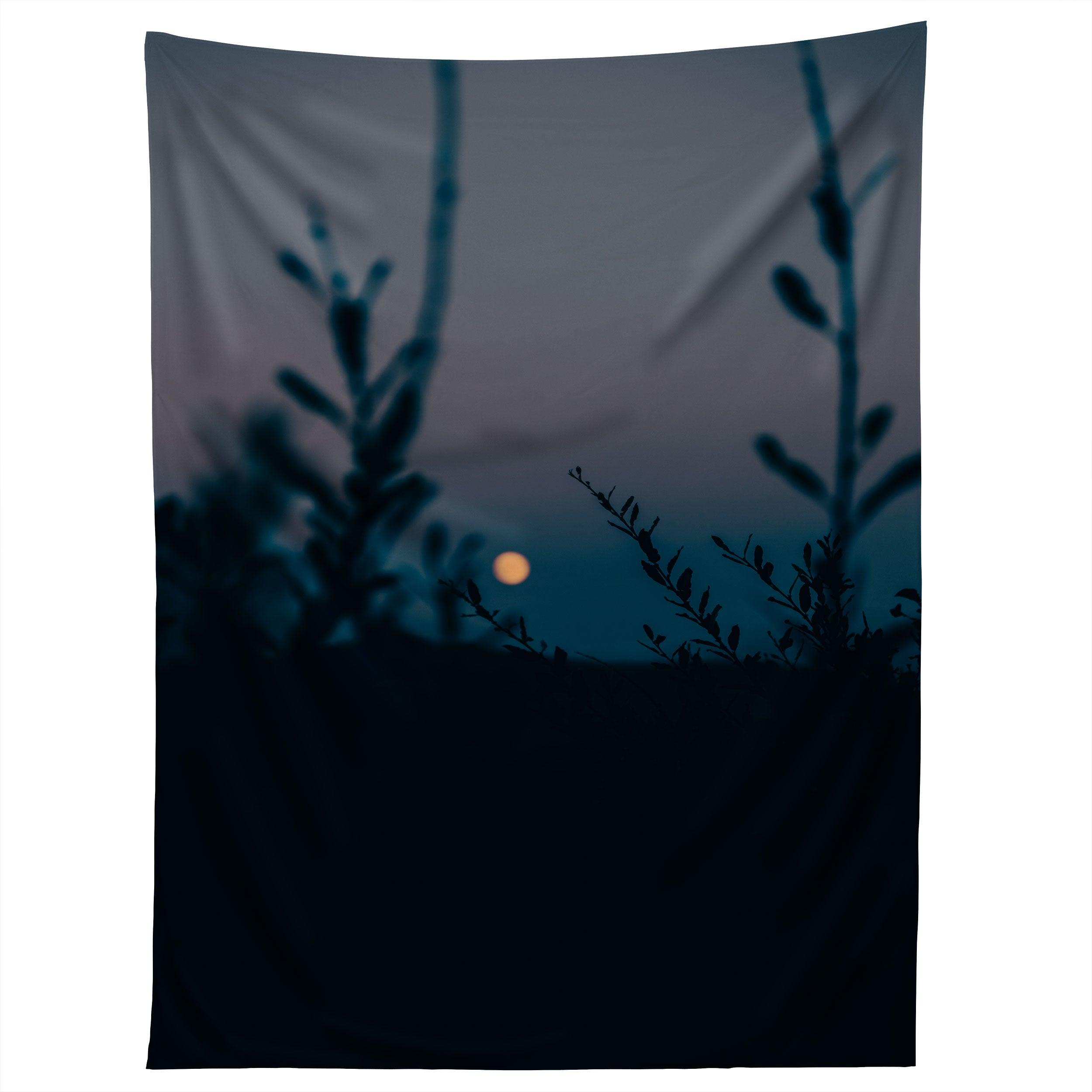 IN THE MOONLIGHT tapestry 75x100