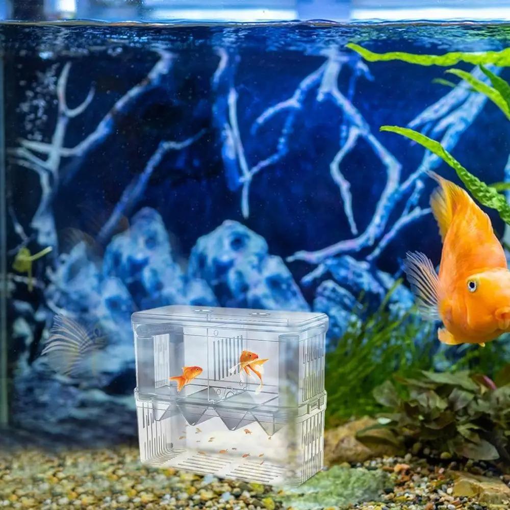 Double-Deck Fish Breeding Isolation Box Clear Fish Breeder Box  Shrimp