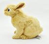 BH7022 HANSA Netherland Dwarf 21