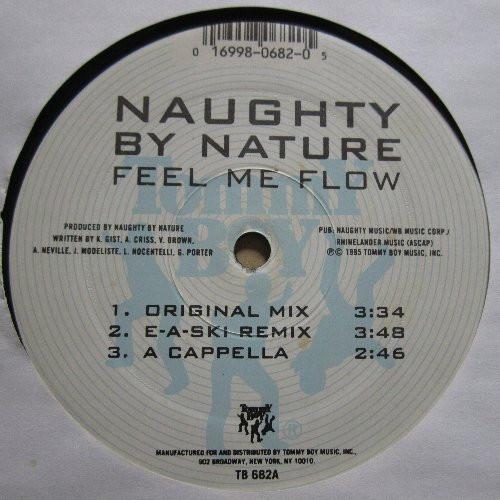 12inch Record NAUGHTY BY NATURE Feel Me Flow TB682 Tommy Boy 1995 US Rap HipHopRB Used