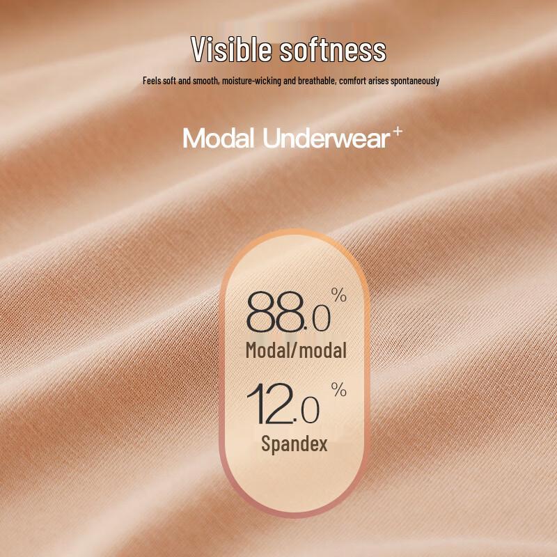 LangSha Women's Modal Antibacterial Breathable Briefs